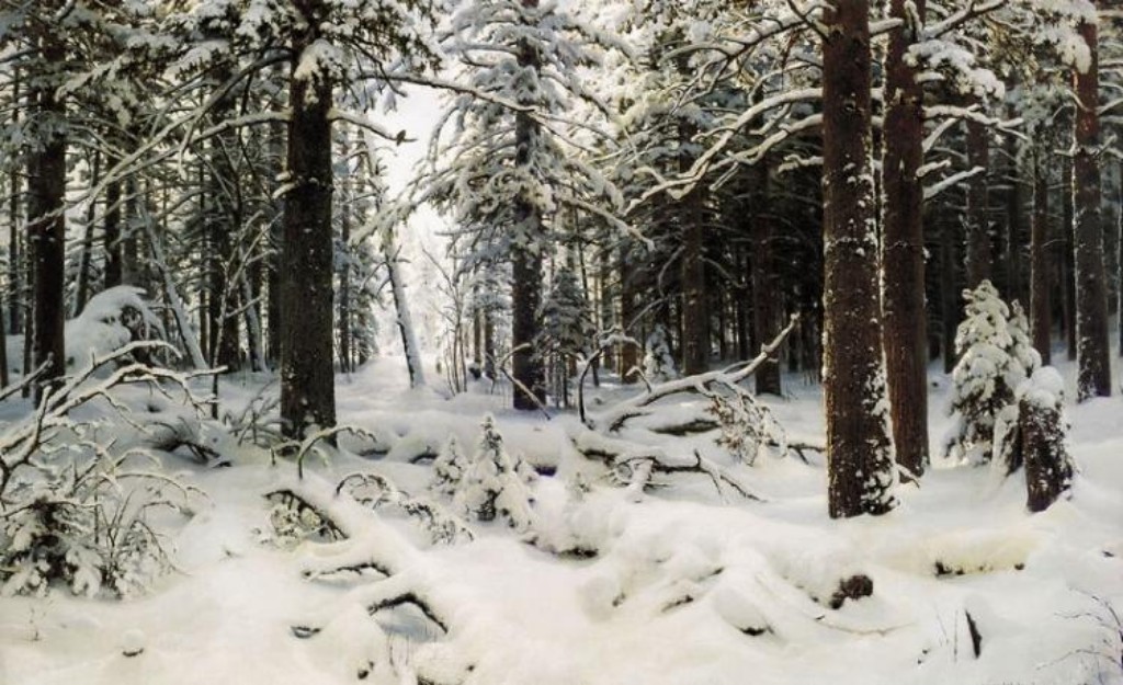 В Мордовии двое школьников заблудились в зимнем лесу